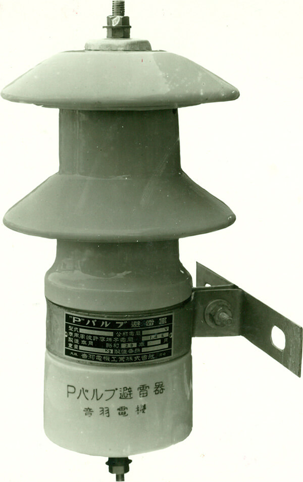 Image of P-valve lightning arrestor