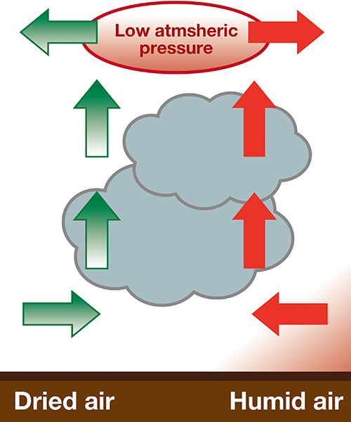 ightning caused by low pressure or typhoon (Vortex lightning)