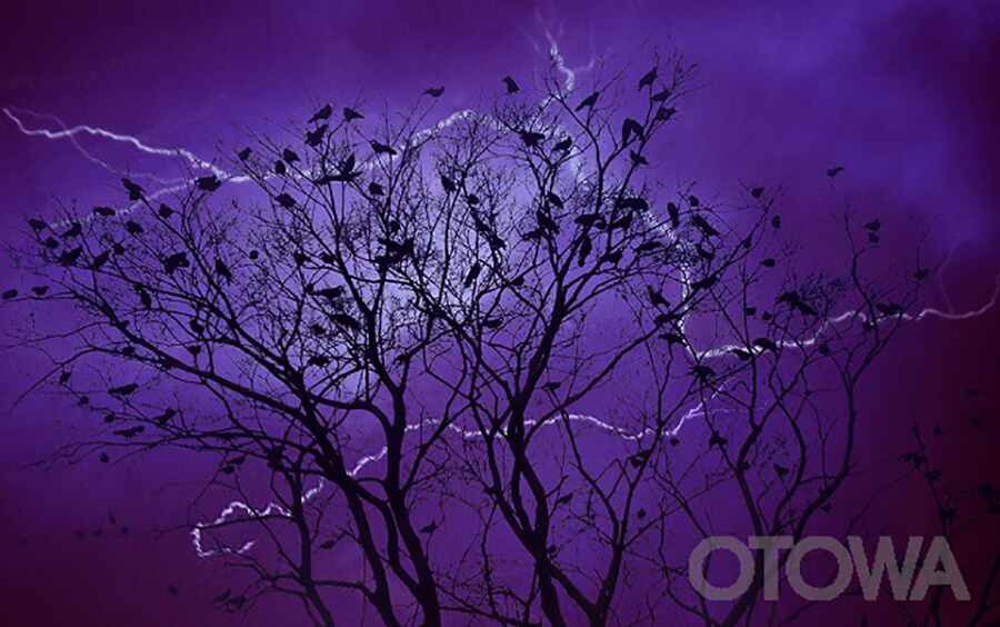 The 4th 雷写真コンテスト受賞作品 Silver Prize -SPRING LIGHTNING-