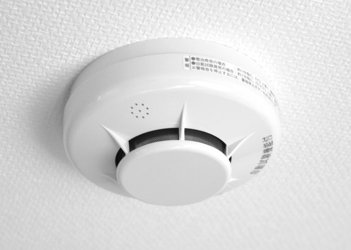 Lightning protection for automatic fire alarm systems